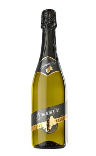 фото игристое вино Decordi Valle Calda Spumante Brut 0,75 л