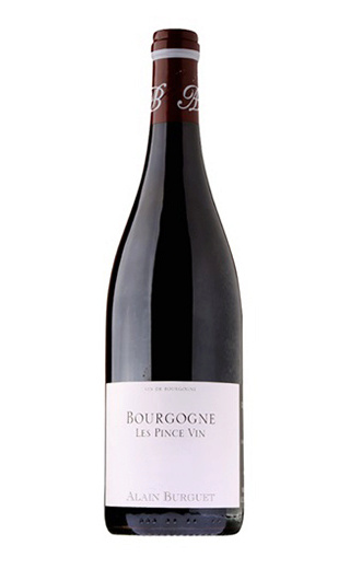 фото вино Alain Burguet Bourgogne Rouge les Pince Vin 2017 0,75 л