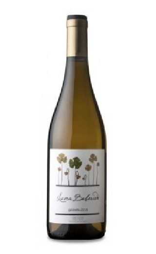 фото вино Luna Beberide Bierzo Godello 2017 0,75 л