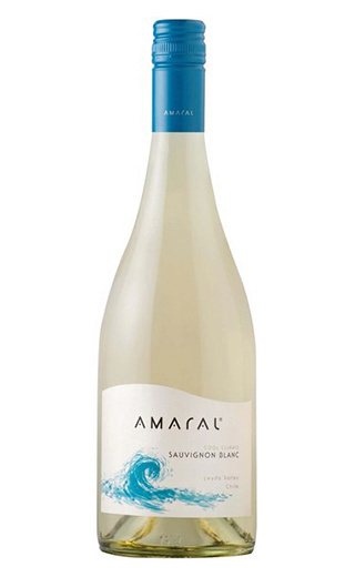 фото вино Montgras Amaral Sauvignon Blanc 2016 0,75 л