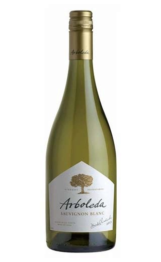 фото вино Vina Arboleda Sauvignon Blanc 2016 0,75 л