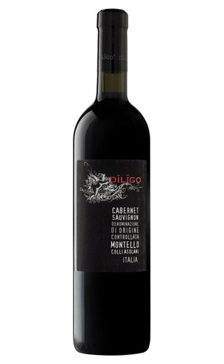 фото вино Anna Spinato Diligo Cabernet Sauvignon 2015 0,75 л