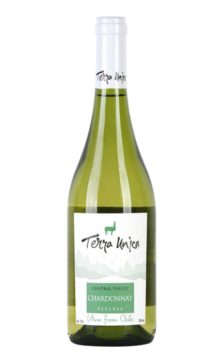 фото вино Aguirre Terra Unica Chardonnay Reserva 0,75 л