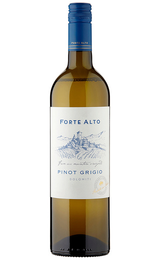 фото вино Mezzacorona Forte Alto Dolomiti Pinot Grigio 2016 0,75 л