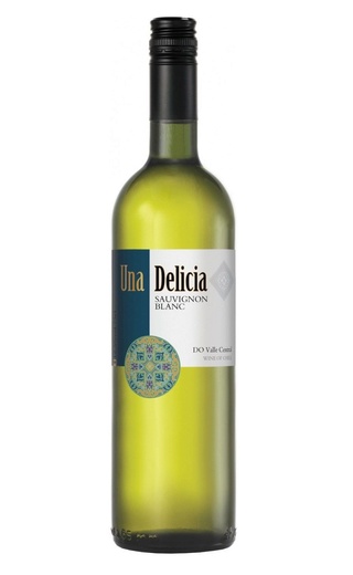 фото вино Vinedos Puertas Una Delicia Sauvignon Blanc 2018 0,75 л