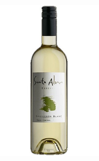 фото вино Santa Alvara Sauvignon Blanc Reserva 2014 0,75 л