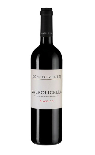 фото вино Domini Veneti Valpolicella Classico 2019 0,75 л