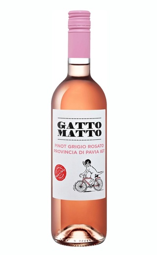 фото вино Villa degli Olmi Gatto Matto Pinot Grigio Rosato 2019 0,75 л