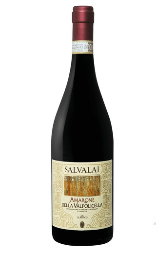 фото вино Gerardo Cesari Salvalai Amarone della Valpolicella Classico 2015 0,75 л