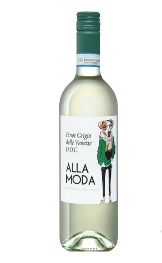 фото вино San Matteo Alla Moda Pinot Grigio 2019 0,75 л