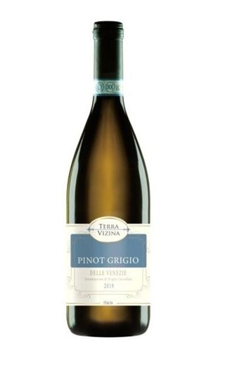 фото вино Casere Terra Vizina Pinot Grigio delle Venezie 2019 0,75 л