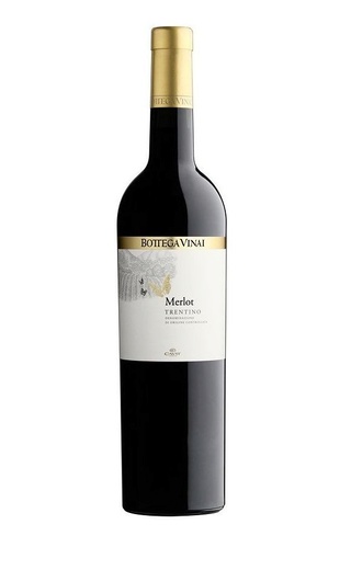 фото вино Cavit Bottega Vinai Merlot 2017 0,75 л