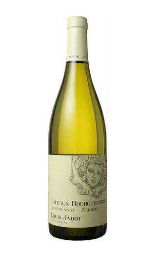 фото вино Louis Jadot Coteaux Bourguignons Blanc 2015 0,75 л