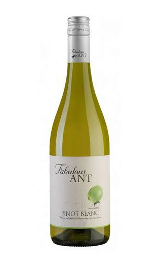 фото вино Fabulous Ant Pinot Blanc 0,75 л