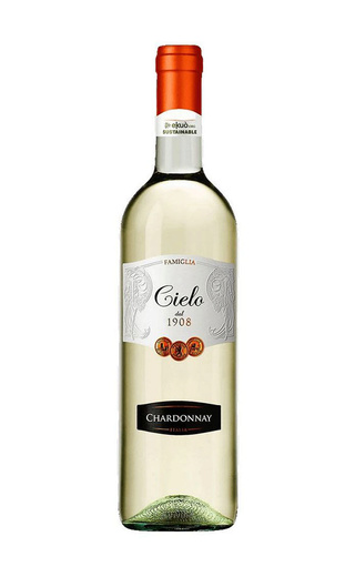фото вино Cielo e Terra Gruppo Cantine Colli Berici Chardonnay delle Venezie 2018 0,75 л