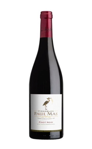 фото вино Paul Mas Pinot Noir Pays d'Oc 2019 0,75 л