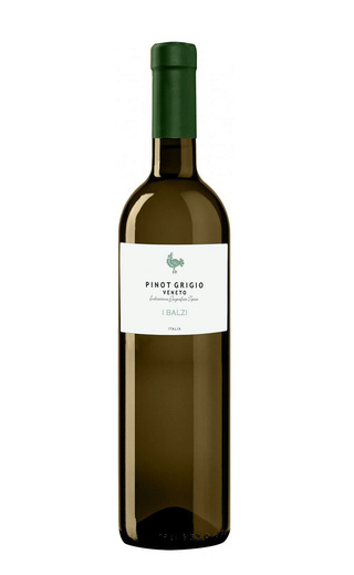 фото вино Natale Verga I Balzi Pinot Grigio 2015 0,75 л