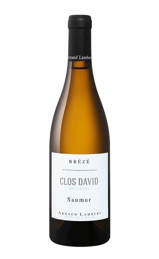 фото вино Arnaud Lambert Breze Clos David Monopole Chenin 2018 0,75 л