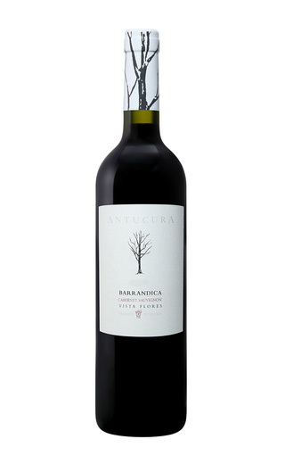 фото вино Barrandica Cabernet Sauvignon Mendoza 2016 0,75 л