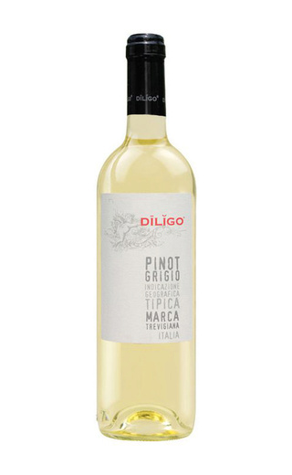 фото вино Anna Spinato Diligo Pinot Grigio 2019 0,75 л