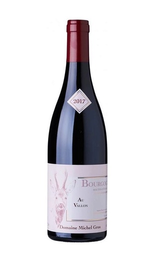 фото вино Domaine Michel Gros Bourgogne Hautes Cotes De Nuits Au Vallon 2017 0,75 л