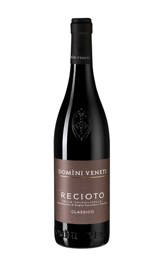 фото вино Domini Veneti Recioto della Valpolicella Classico DOCG 2017 0,75 л