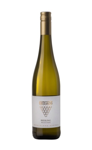 фото вино Nittnaus Riesling Selection 2019 0,75 л