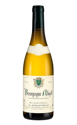 фото вино Domaine Hudelot-Noellat Bourgogne Aligote 2018 0,75 л