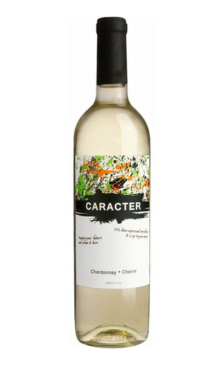 фото вино Bodegas Santa Ana Caracter Chardonnay Chenin 2020 0,75 л