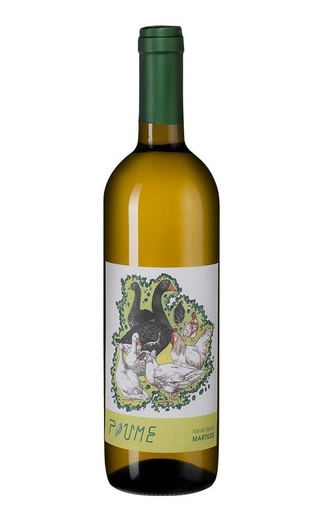 фото вино Martilde Piume Malvasia 2020 0,75 л