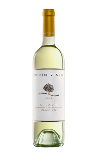 фото вино Domini Veneti Soave Classico 2020 0,75 л