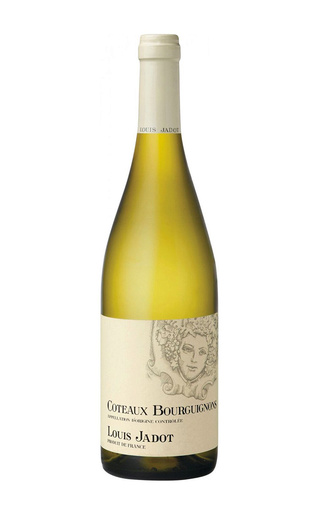 фото вино Louis Jadot Coteaux Bourguignons Blanc 2020 0,75 л