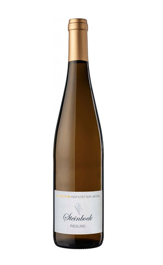 фото вино Weingut Dr. Fischer Steinbock Riesling 2020 0,75 л