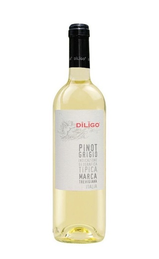 фото вино Anna Spinato Diligo Pinot Grigio 2020 0,75 л