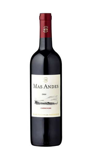 фото вино Mas Andes Carmenere 2021 0,75 л