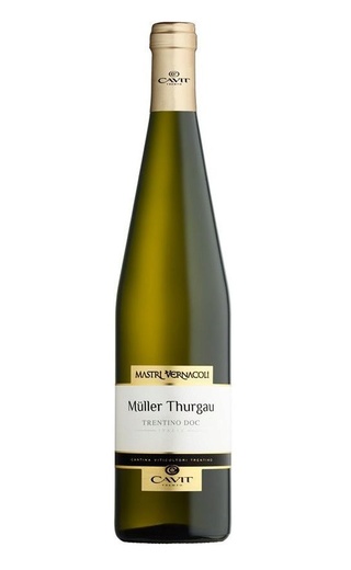 фото вино Cavit Mastri Vernacoli Muller Thurgau 2021 0,75 л