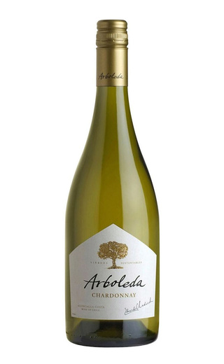 фото вино Vina Arboleda Chardonnay 2020 0,75 л