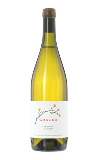 фото вино Bodega Chacra Chardonnay 2020 0,75 л