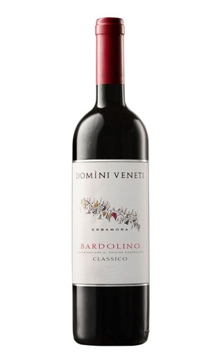 фото вино Domini Veneti Bardolino Classico 2021 0,75 л