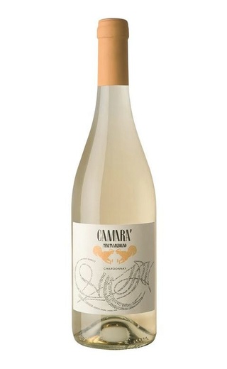 фото вино Tenuta Mazzolino Camara Chardonnay 2021 0,75 л