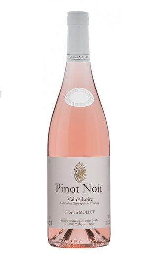 фото вино Florian Mollet Pinot Noir Val de Loire 2020 0,75 л