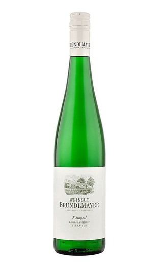 фото вино Brundlmayer Gruner Veltliner Terrassen BIO 2020 0,75 л