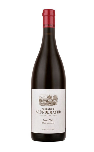 фото вино Brundlmayer Pinot Noir Blauburgunder 2018 0,75 л