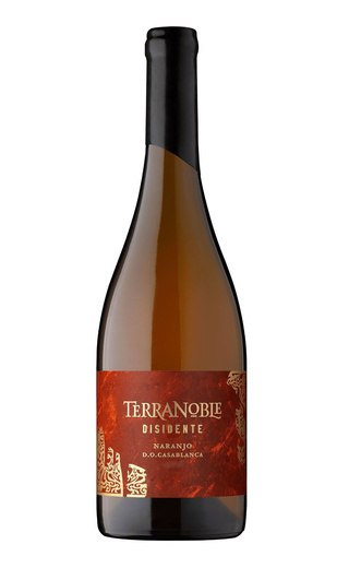 фото вино TerraNoble Disidente Pinot Blanc Chardonnay 0,75 л