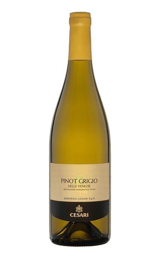 фото вино Gerardo Cesari Salvalai Pinot Grigio 2021 0,75 л