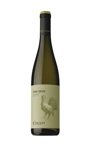 фото вино Concilio Pinot Grigio 2022 0,75 л