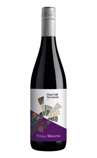 фото вино Villa Molino Pinot Noir Trevenezie 2020 0,75 л