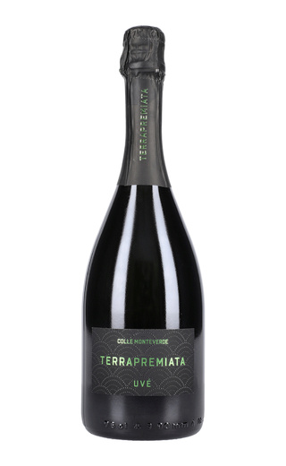 фото игристое вино Terrapremiata Uve Colle Monteverde Brut 0,75 л