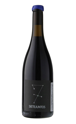 фото вино Microbio Wines Sietejuntos Merlot 2019 0,75 л