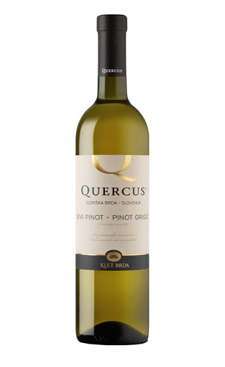 фото вино Klet Brda Quercus Pinot Grigio 2022 0,75 л